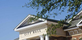 City Hall building with columns and a tree branch.