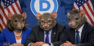 Three individuals with rat heads at a political conference