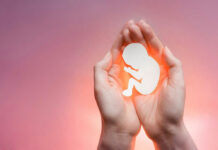 Government Gag Rule Quietly Collapses Hands holding a paper-cut fetus silhouette.