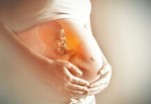 Surrogate Sued After Refusing Abortion Request Pregnant woman with illustrated baby inside womb.
